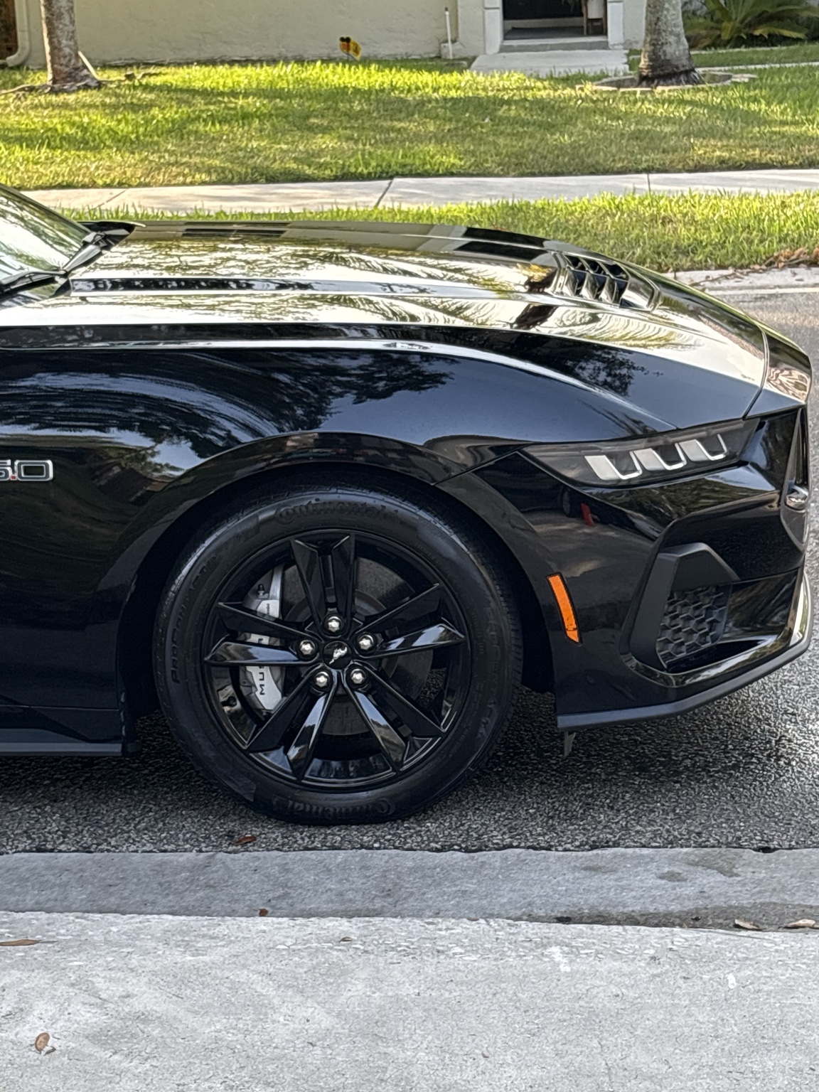 Black Mustang wheel and fender detail